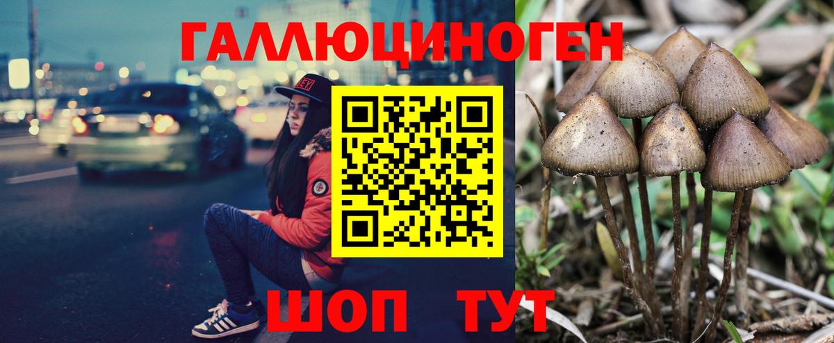 Псилоцибиновые грибы GOLDEN TEACHER Ликино-Дулёво